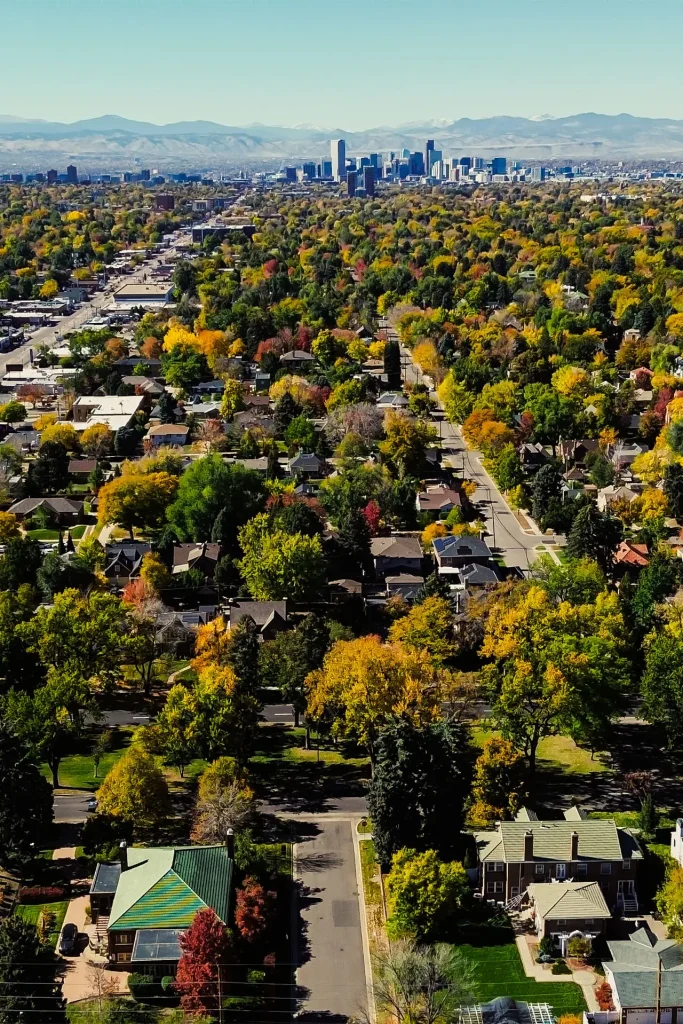 Large boulevard leading to downtown Denver and mountain backdrops from colorful suburban neighborhood framed in fall foliage blankets.